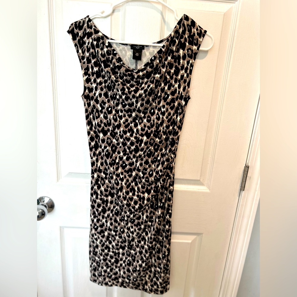 Leopard print Ann Taylor dress, worn once.